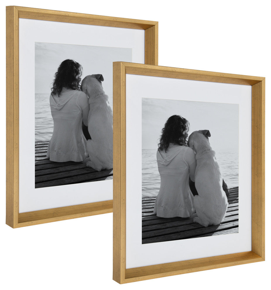Calter Photo Frame Set, Gold 14x18 matted to 11x14