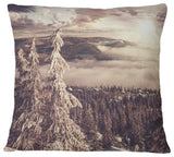 Dark Winter Scene At Sunset Landscape Wall Throw Pillow, 16"x16"