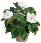 Potted Faux Garden Magnolia, White