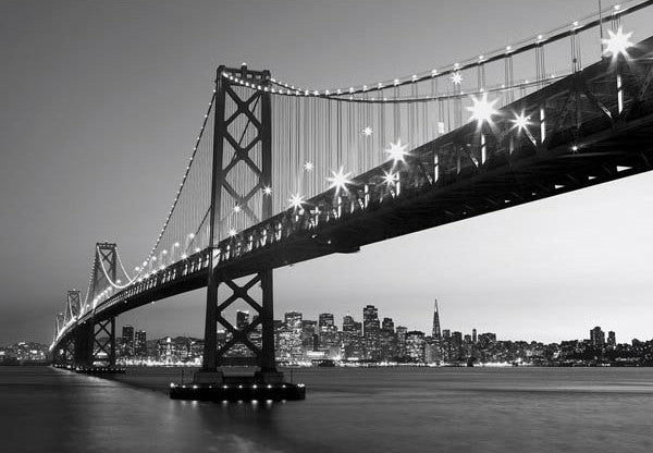 San Francisco Skyline Wall Mural DM134 by Ideal Decor