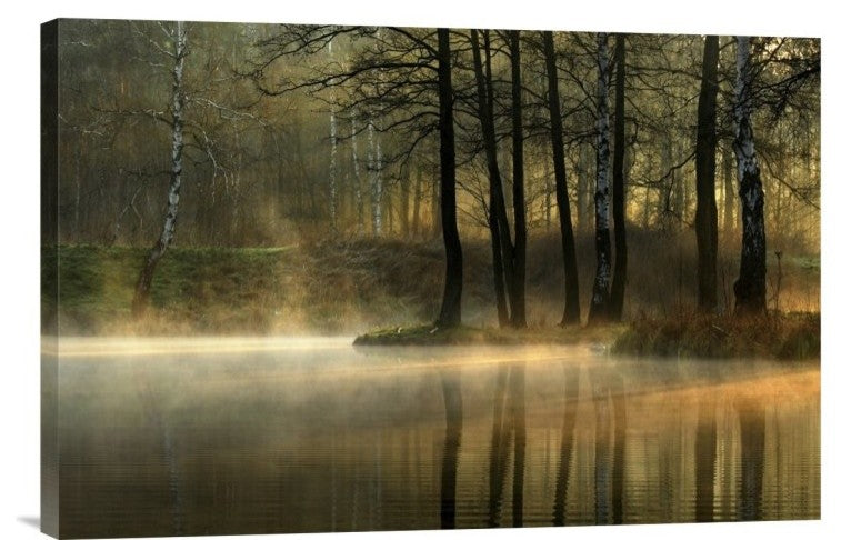 "Silent Light." Stretched Canvas Giclee by Agnieszka Jankowska, 24"x16"
