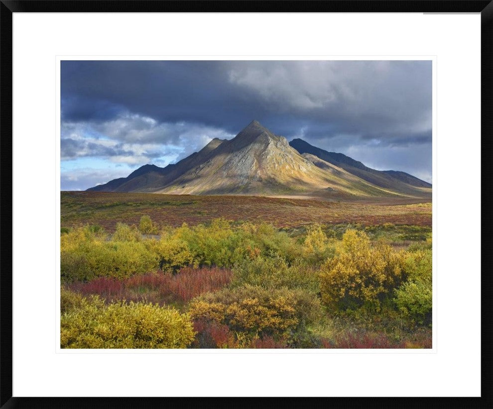 Ogilvie Mountains, Tombstone Territorial Park, Yukon, Canada, 30"x24"