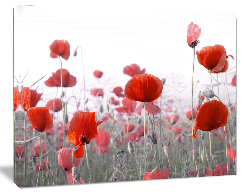 Amazing Red Poppy Flower Garden, Flower Artwork on Canvas, 40"x30"