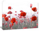 Amazing Red Poppy Flower Garden, Flower Artwork on Canvas, 40"x30"