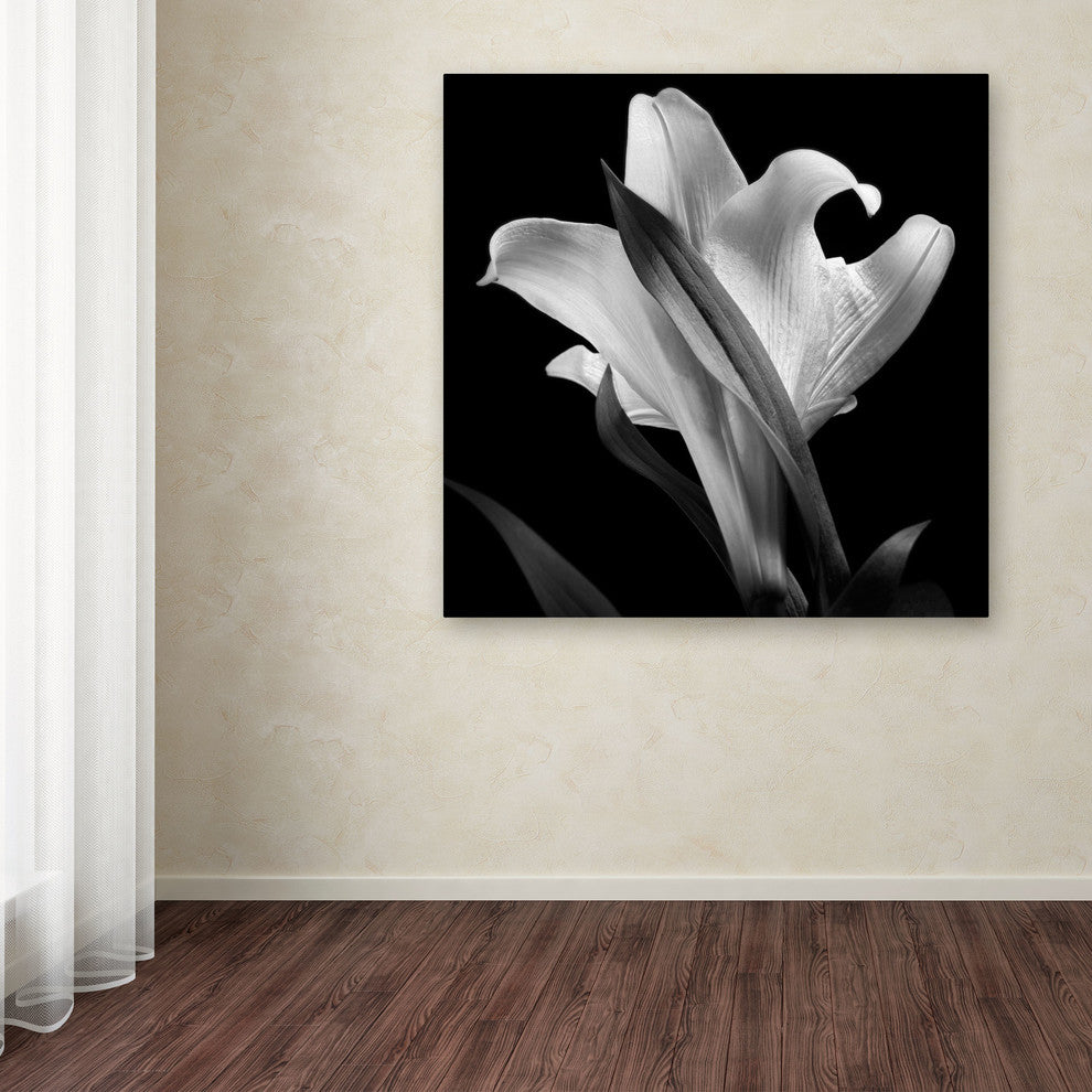 'Lily' Canvas Art by Michael Harrison