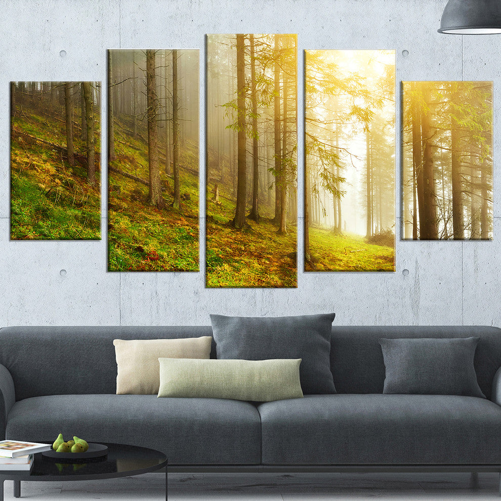 "Sun Finds its Way in Forest" Landscape Photo Canvas Print