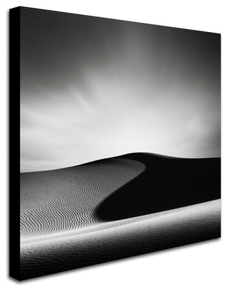 'Dark Shadows' Canvas Art by Dave MacVicar