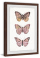 "Pink Butterfly Trio" Framed Painting Print, 24"x36"