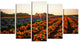Beautiful Japanese Flower Farm, Floral Canvas Art Print, 60"x32", 5 Panels