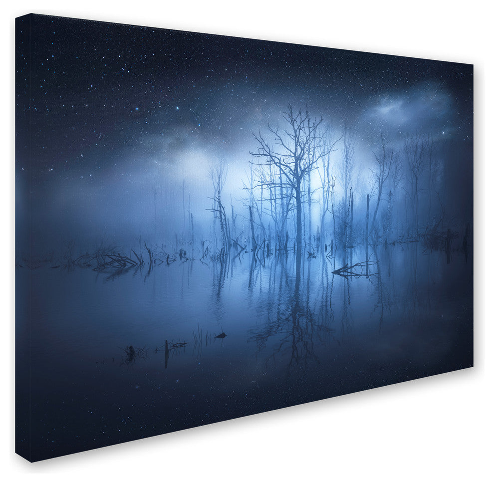 Christian Lindsten 'Stranger Things' Canvas Art, 32x24