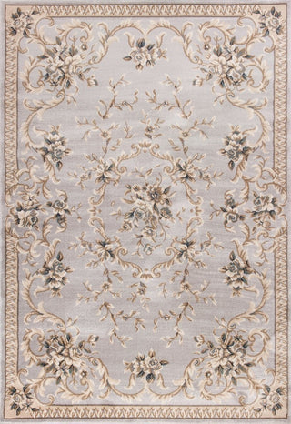 Avalon 5604 Light Gray Aubusson Rug, 7'10"x9'10"