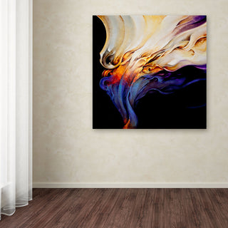 'Evoke' Canvas Art by Cody Hooper