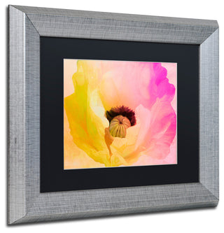 Color Bakery 'Poppy Gradient II' Art, Silver Frame, Black Matte, 14"x11"