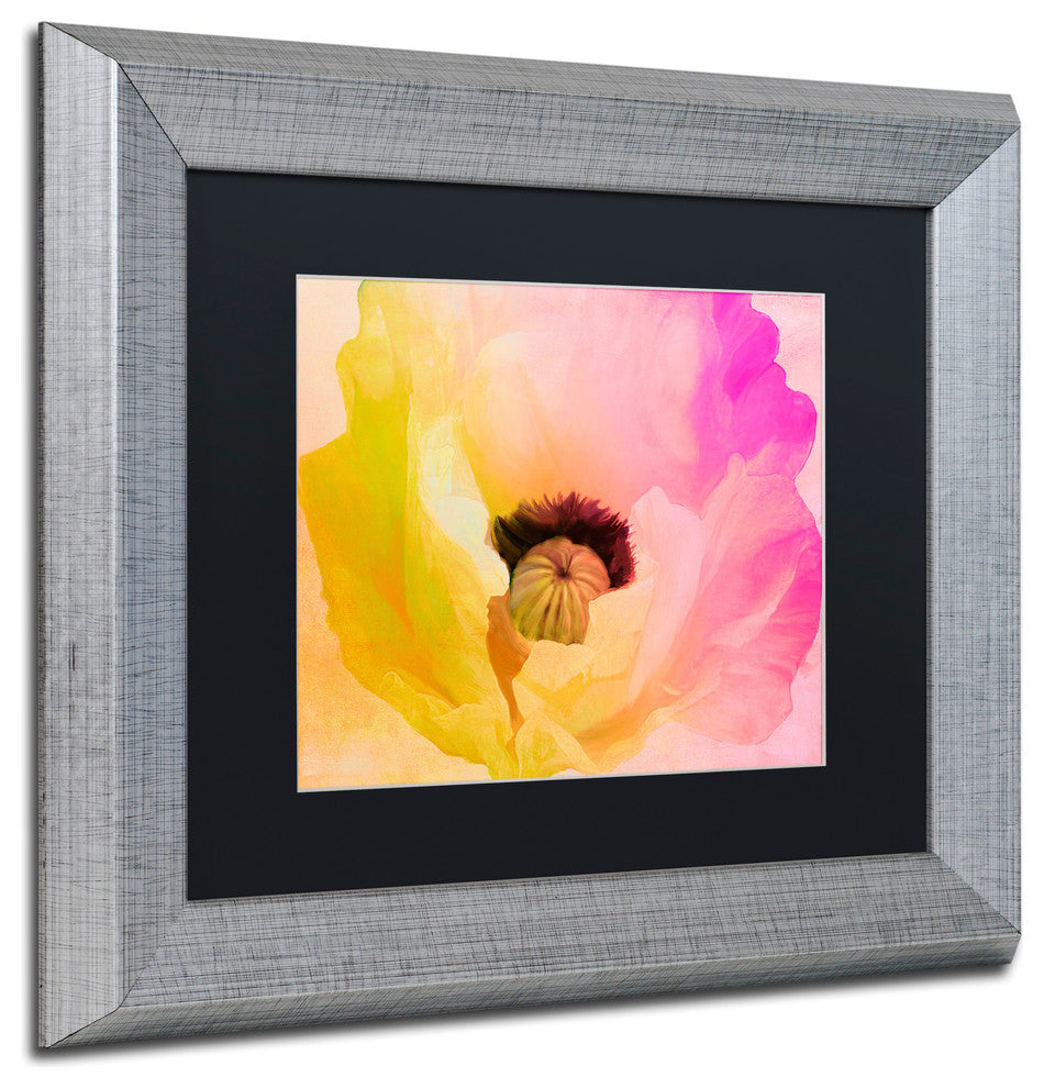 Color Bakery 'Poppy Gradient II' Art, Silver Frame, Black Matte, 14"x11"