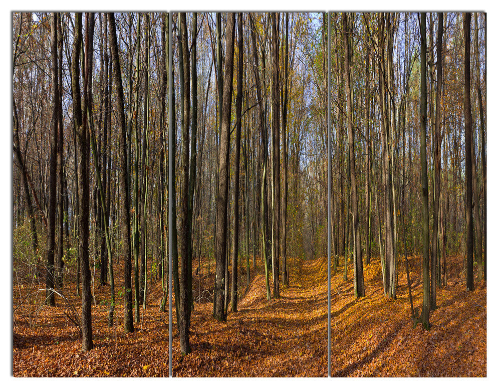 Dense Fall Forest Panorama, Forest Triptych Canvas Art Print, 36x28, 3 Panels
