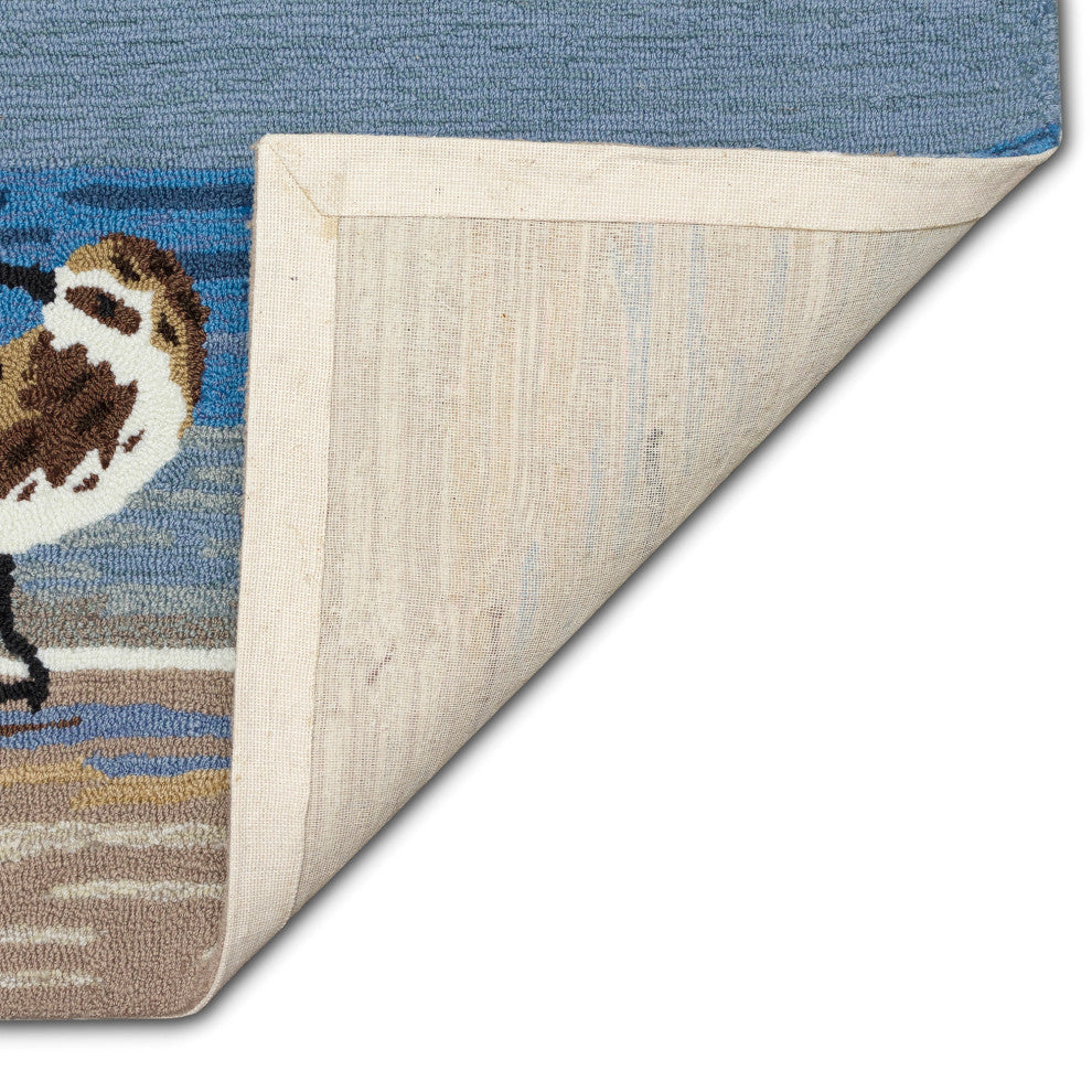 Frontporch Sandpipers Indoor/Outdoor Rug Lake 2'x3'