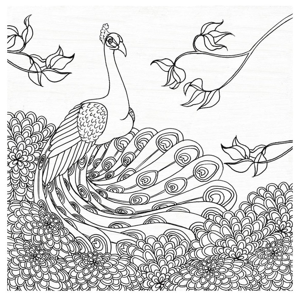 "Palace Peacock I Black and White" Digital Paper Print by Elyse DeNeige, 26"x26"