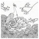 "Palace Peacock I Black and White" Digital Paper Print by Elyse DeNeige, 26"x26"