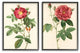 Traditional Red Flowers with Floral Stem Details2-Piece, 16x20