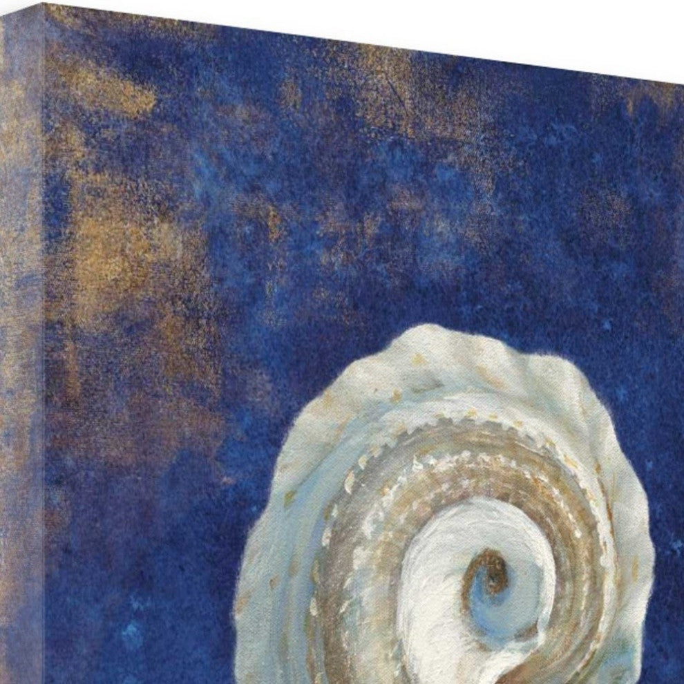 35" Rustic Deep Blue and Gold Conch Giclee Wrap Canvas Wall Art