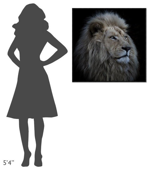 "Proud Lion" Framed Canvas Giclee by Louise Wolbers, 31x31"