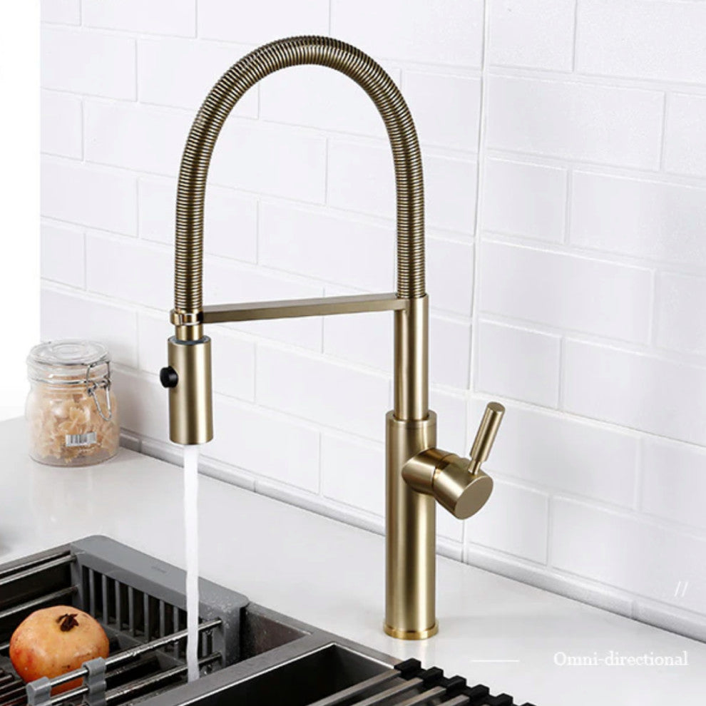 Single Handle Pull Out Spout Kitchen Faucet