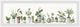 "Potted Green Succulents" Framed Painting Print, 30x10