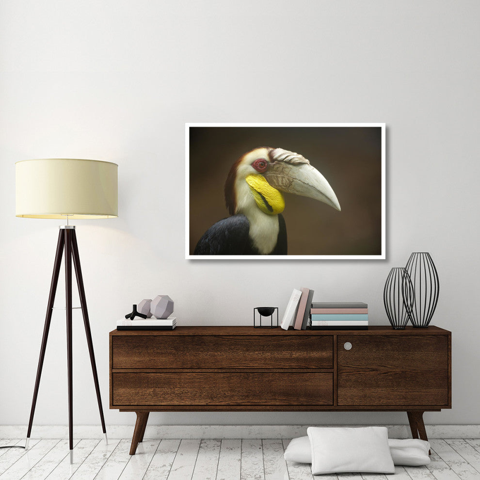 "Wreathed Hornbill male, Malaysia" Paper Print by Tim Fitzharris, 50"x34"