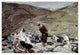 "Lawyer Standing Up and Tempting Jesus" Paper Print by James Tissot, 32"x22"