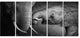 Elephants Showing Affection, Abstract Canvas Art Print, 60"x28", 5 Panels