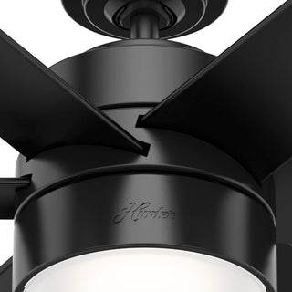 Hunter 72" Solaria Outdoor Matte Black Ceiling Fan With LED Light and Remote