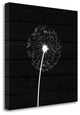 "Grey Dandelion I" By Tamara Robinson, Giclee Print on Gallery Wrap Canvas