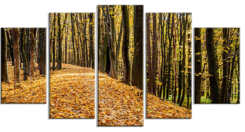Dense Autumn Forest Woods, Modern Forest Canvas Art, 60"x32", 5 Panels