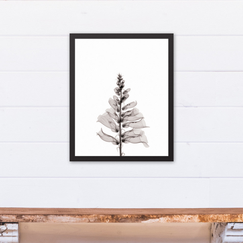 Transparent Black and White Flower 16x20 Black Framed Canvas