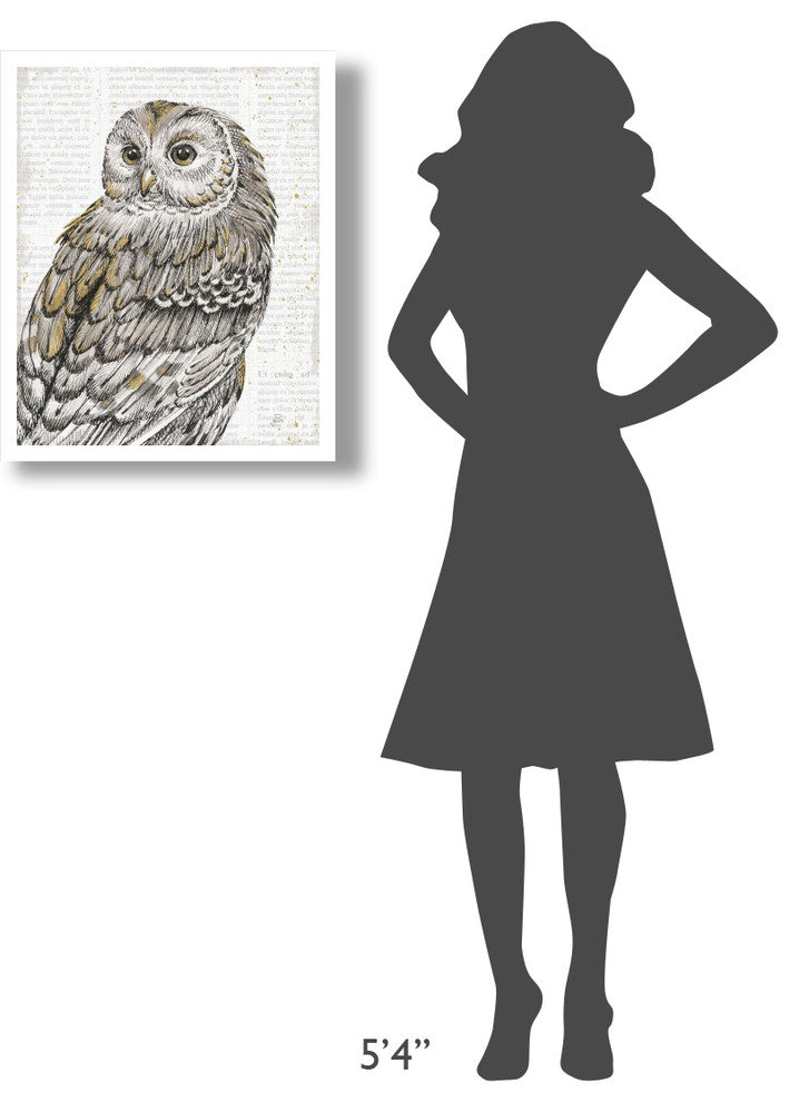 "Beautiful Owls III" Digital Paper Print by Daphne Brissonnet, 22"x26"