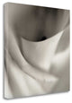 "Florison - 44" By Alan Blaustein, Giclee Print on Gallery Wrap Canvas