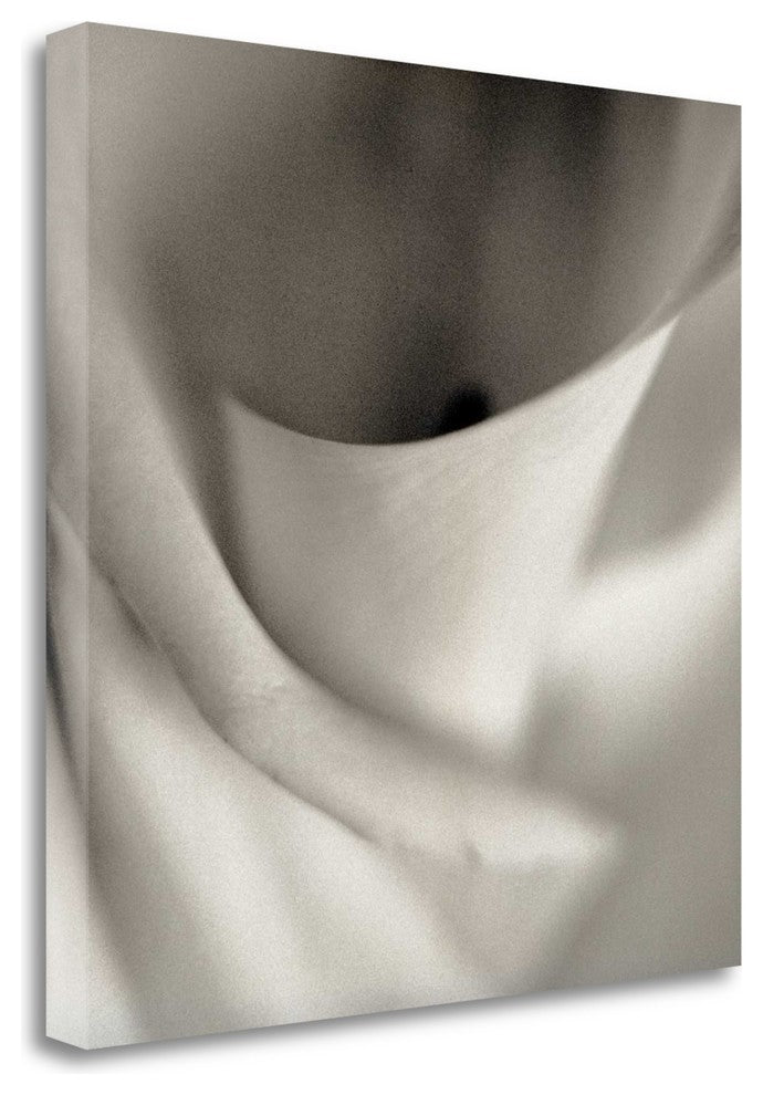 "Florison - 44" By Alan Blaustein, Giclee Print on Gallery Wrap Canvas