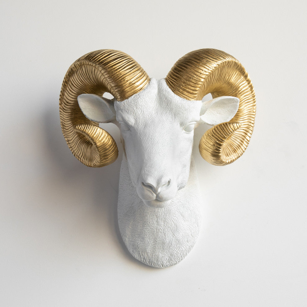 Resin Ram Head Wall Mount, White and Gold
