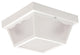 Decorative Outdoor Century Collection Fixture White Frosted Lens