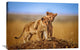 "Brothers For Life" Stretched Canvas Giclee by Jeffrey C. Sink, 36x24"