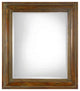 Uttermost Darian Dark Brown Mirror