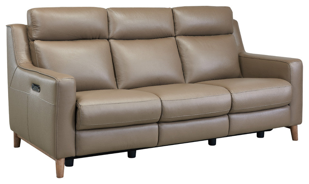 Wisteria Contemporary Sofa In Light Brown Wood Finish And Taupe Genuine Leather