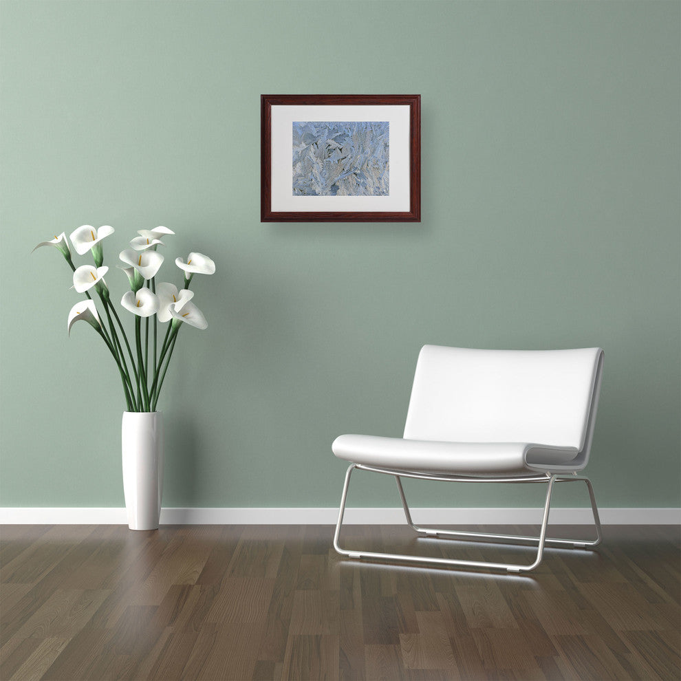 'Frost Pattern #6' Matted Framed Canvas Art by Kurt Shaffer