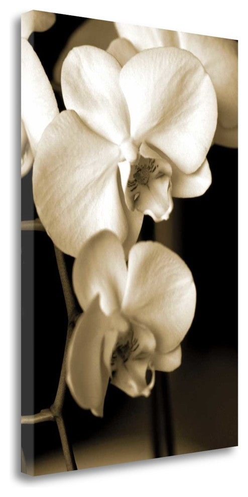 "Exotic Blooms" By Cinzia Ryan,Ready to Hang Giclee Print on Gallery Wrap Canvas