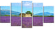 "Old House and Tree in Lavender Field" Landscape Wall Art, 5 Panels, 60"x32"
