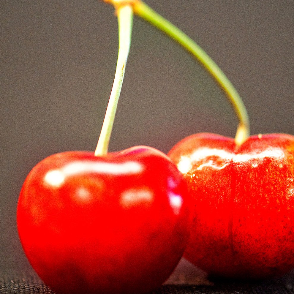 "Twin Cherries" Paper, 32"x48"