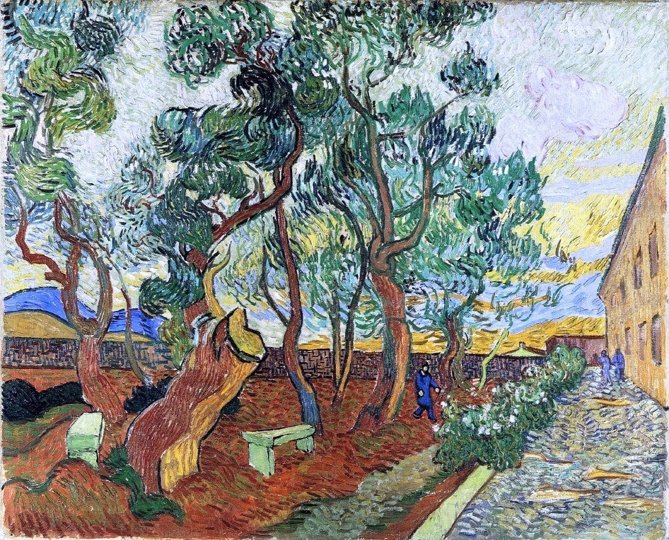 Vincent Van Gogh The Garden of the Asylum in Saint-Remy Gallery Wrapped Canvas