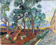 Vincent Van Gogh The Garden of the Asylum in Saint-Remy Gallery Wrapped Canvas