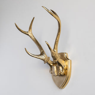 Deer Antler Mount, White Antlers And Plaque, Gold