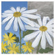 "Summer Garden II" Digital Paper Print by Kathrine Lovell, 26"x26"